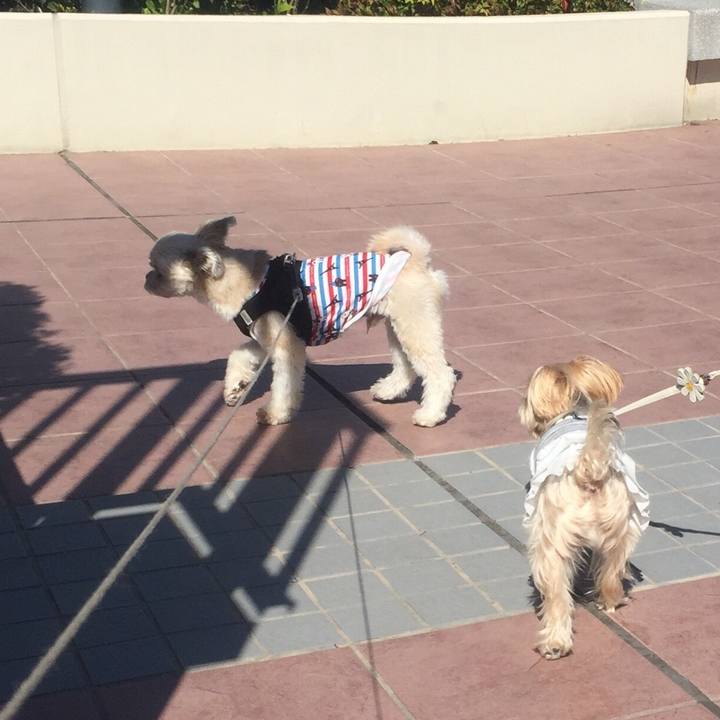 84014397 bbd8 4788 aa3c 6a29735a6550 1540105656806