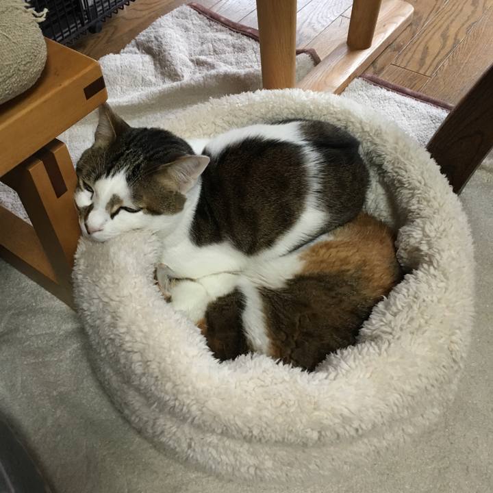 840156a2 9d0c 4f1a 985f df5c92febe90 1516186163899