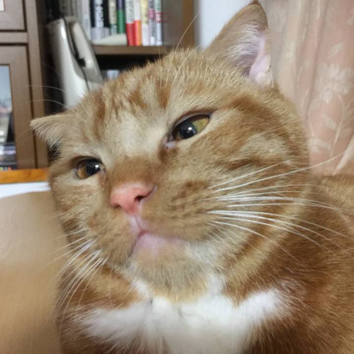 84016c2b 67c9 4f90 9797 a776ed6dfcb7 1516061459143