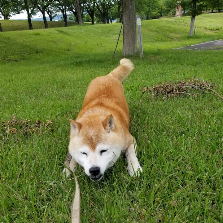 84016c54 6c8a 41f9 b91b 69ae486edf25 1717657295792