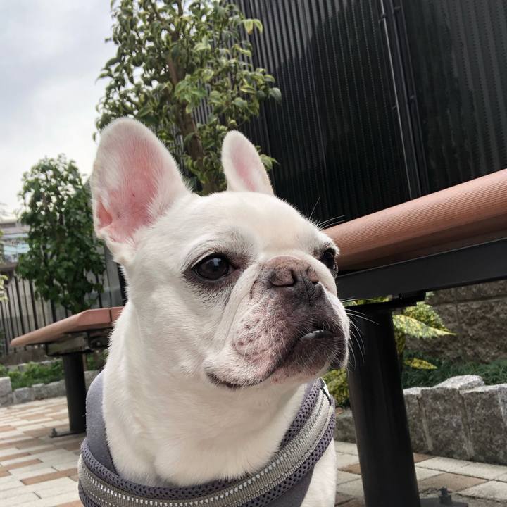 84019b1c c8d9 4723 807a 9b9623dbab9b 1666415218081