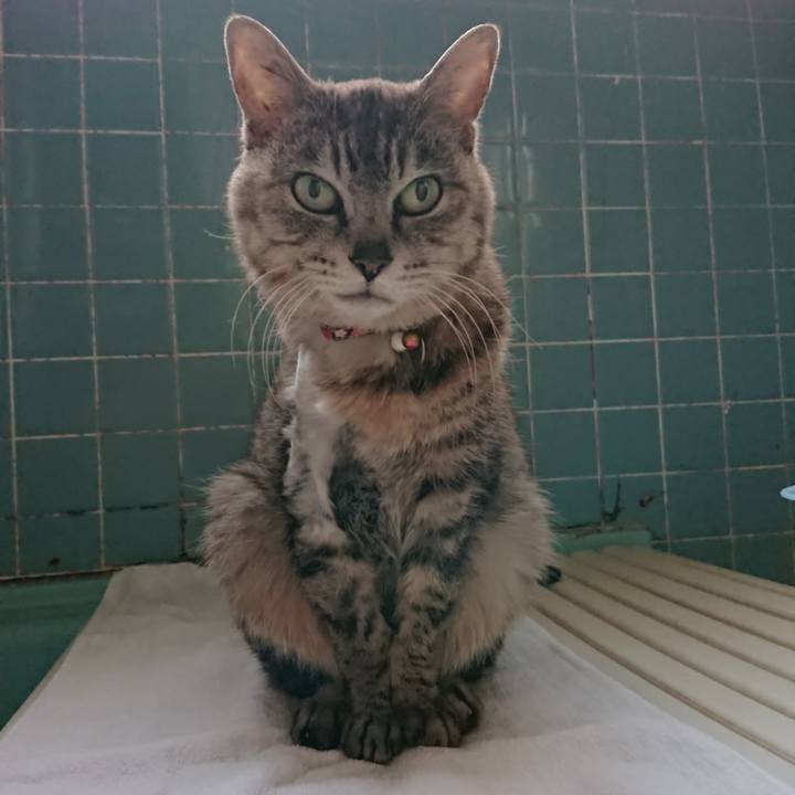 84025691 bce8 4dd2 8b6d fe417f41aaa8 1590571320927