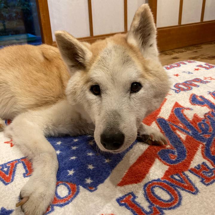 84026fbd 8153 4b1c 8b3e c2f9bc08c5f7 1599211936353