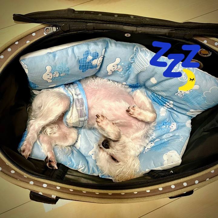 840278e6 ebd2 4def b569 c886e4145ee7 1654239767553