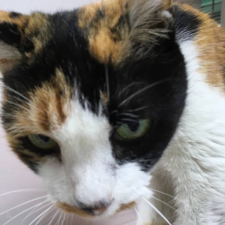 840287eb d240 45c5 8446 266f2cbeedcf 1528100926553