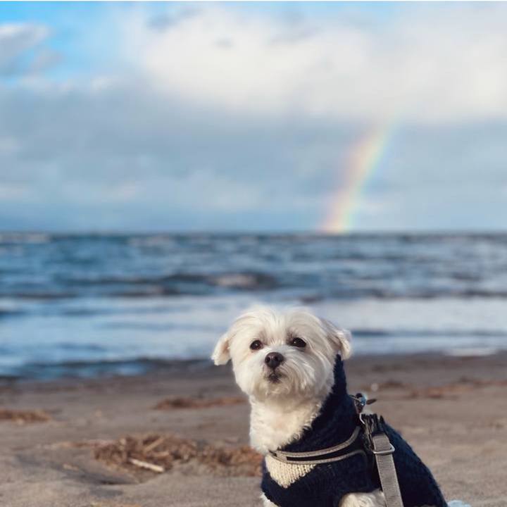 84029480 1c65 46ea a1e7 e08552981077 1707039812805