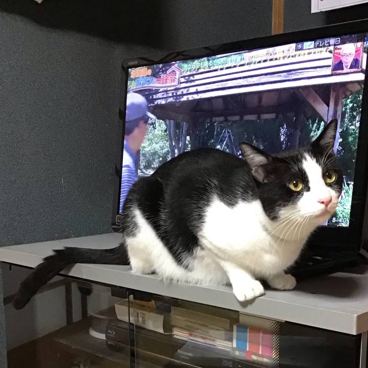 8402b080 67ee 4eb3 abf1 46a0093a9001 1688906871829