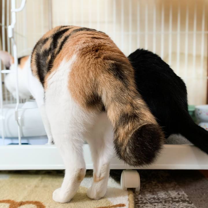 8402b2b7 b634 463f b27b ea015d72bc45 1574646897713