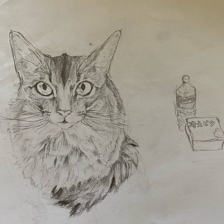 8402b378 5697 4028 9966 aeb92aac773b 1656922926319