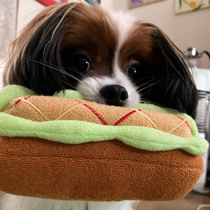 8402bb2c 8a39 4702 ab1b 3c96f8036648 1737338825345