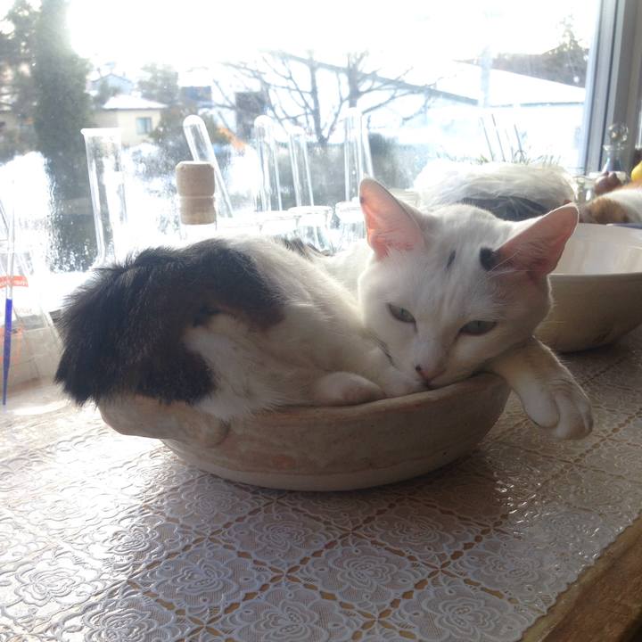 8402d091 ca9b 4f61 92ba cbe81aae4b64 1516508944075