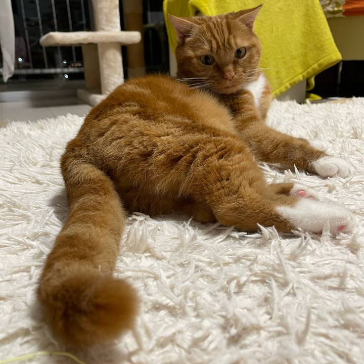 8402d374 6746 4a60 a0c4 3bdaf6ed4de9 1659444456064