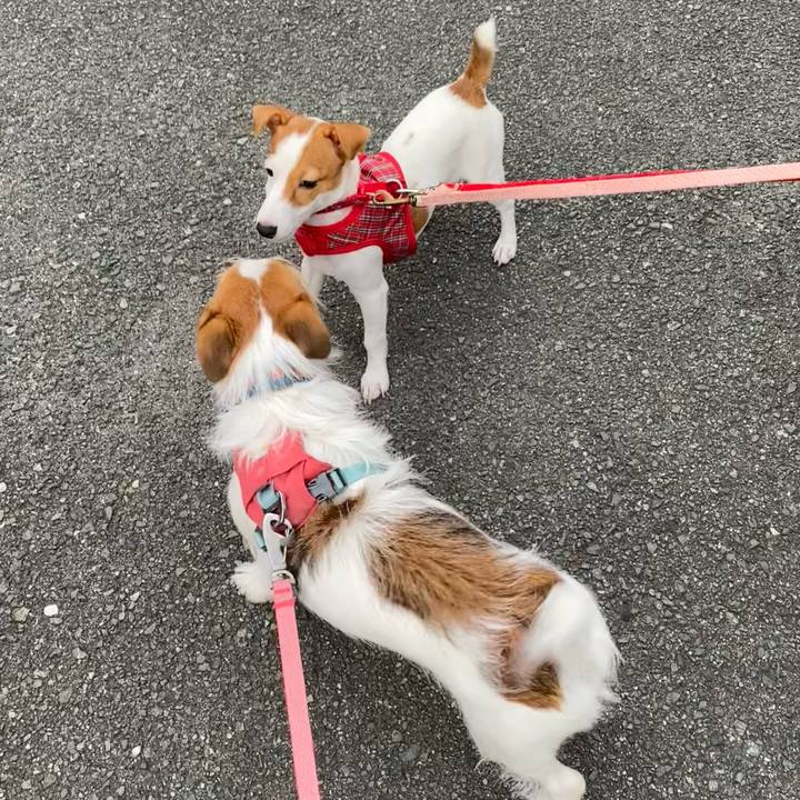 8402e4c4 54f8 4611 b10e e982bb7ae304 1696457008877