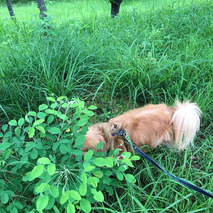 84030277 f34f 4414 bb82 8f1f1d885c05 1563744825976