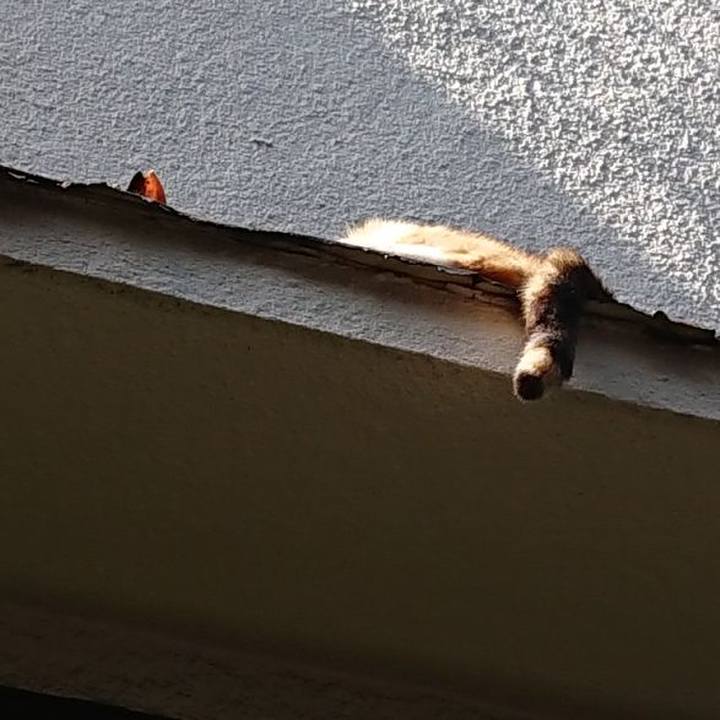 84031314 5877 46c9 a291 89d6f3e3b474 1684294471097