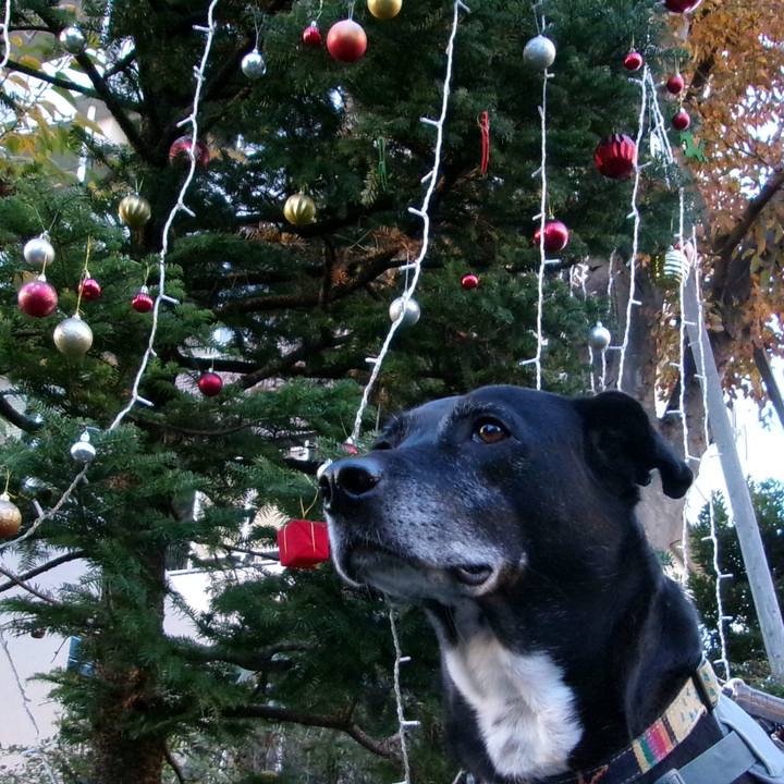 84031a87 d3a2 46a5 9d6a 2455eef1f092 1733703762651