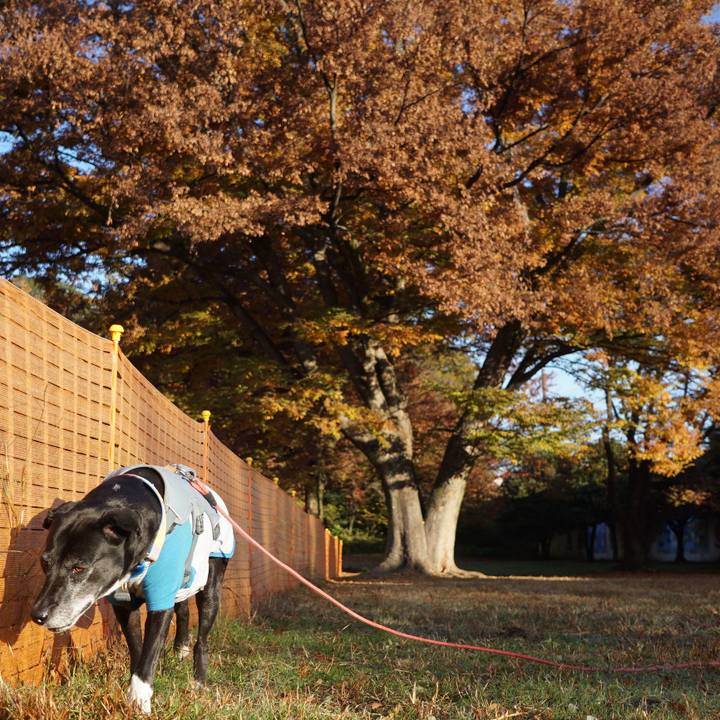 84032da1 fc4a 4e7f b1ae 0ddab18225ca 1763943213169