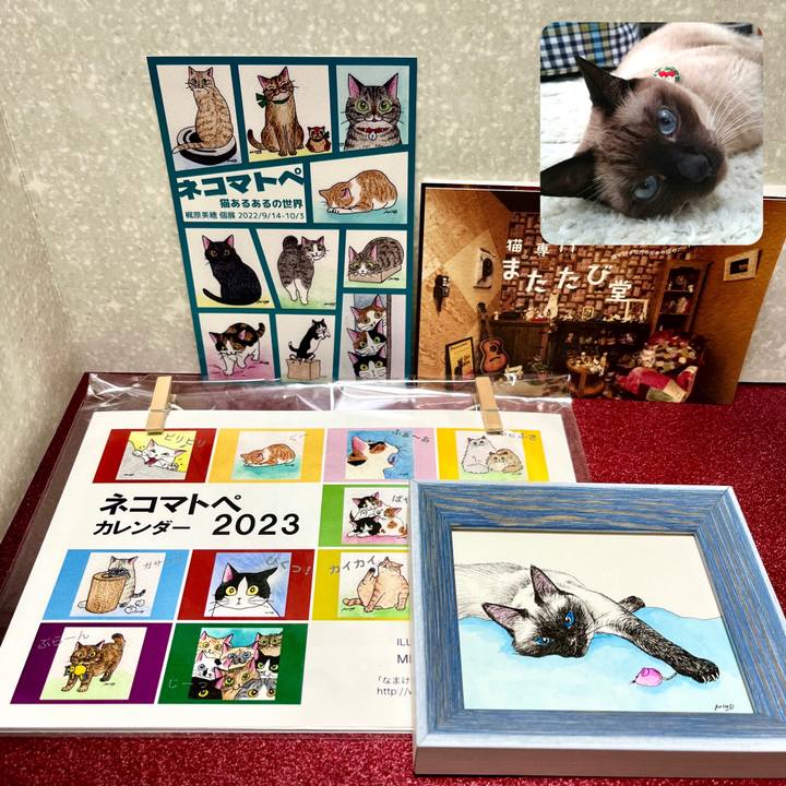 84038eae 068f 419e 816e 9b76b9ab18c7 1663667149672