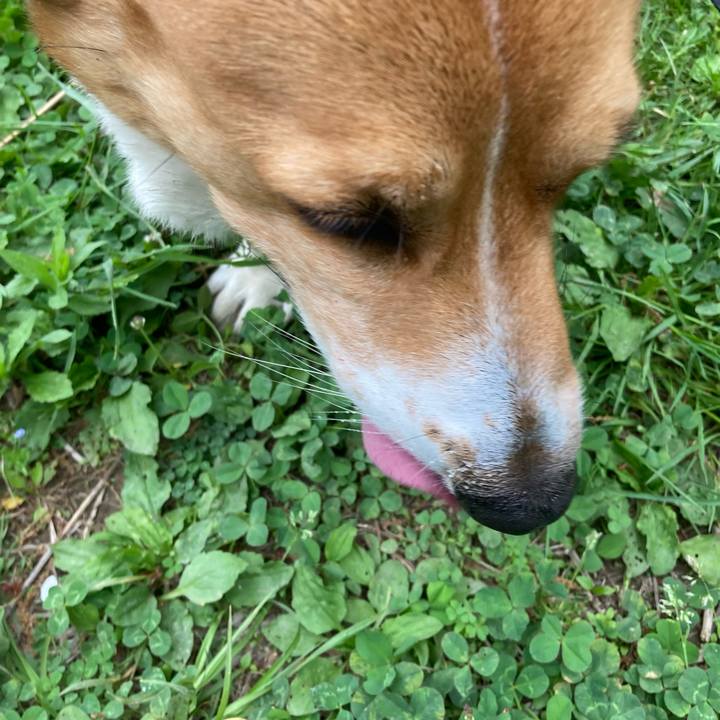 84039880 331f 4d2b b2b4 5cf67fea99f2 1745633904970