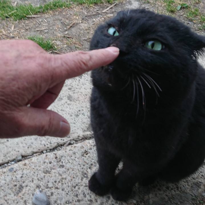 84040286 1933 43a9 9b89 6bbd84a022e5 1650532319151