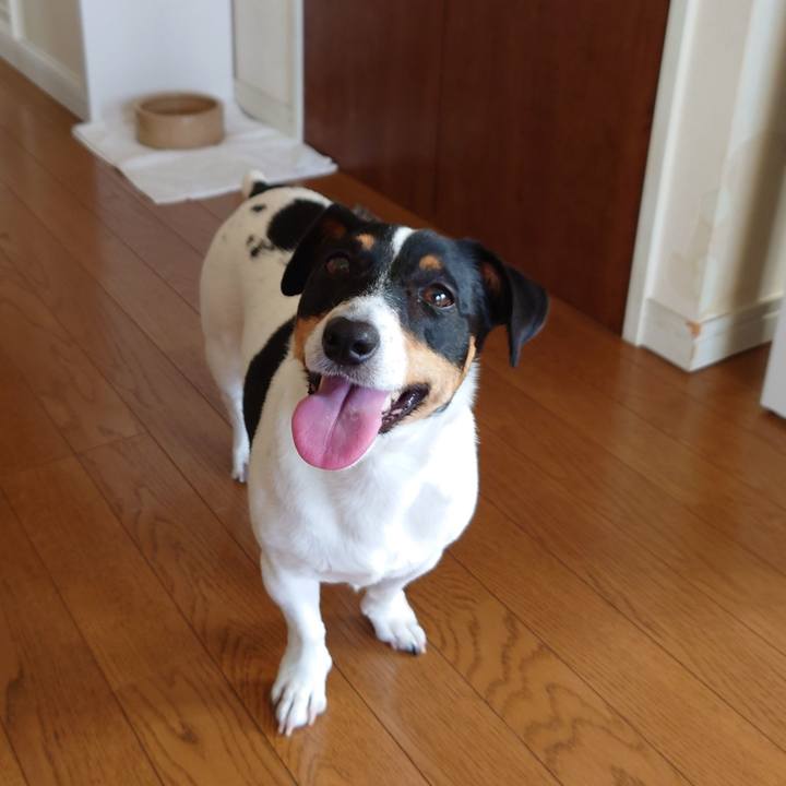 8404d9d7 399c 4c32 a6dd e9fe056948cc 1664276653532