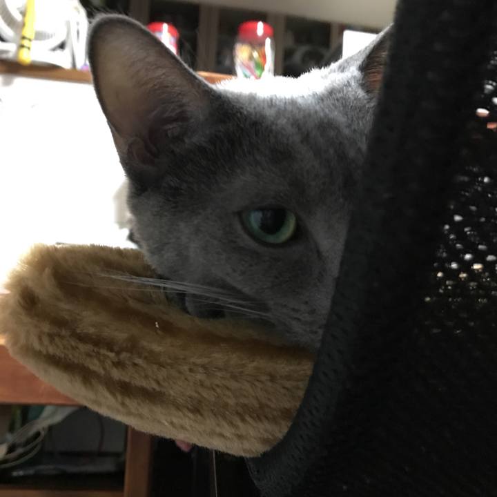 8404df9a 5b0f 4678 b9ad 59af362abf35 1516092040478