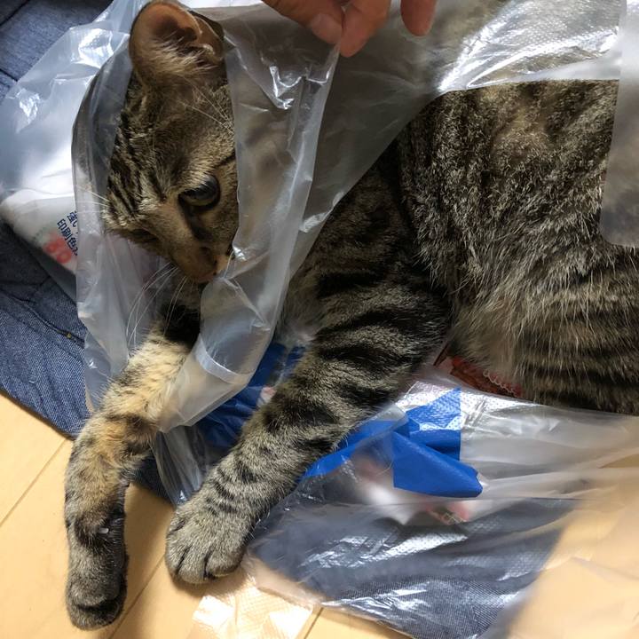 8404e56b f3a2 4235 bf22 e314d8205681 1535894850565