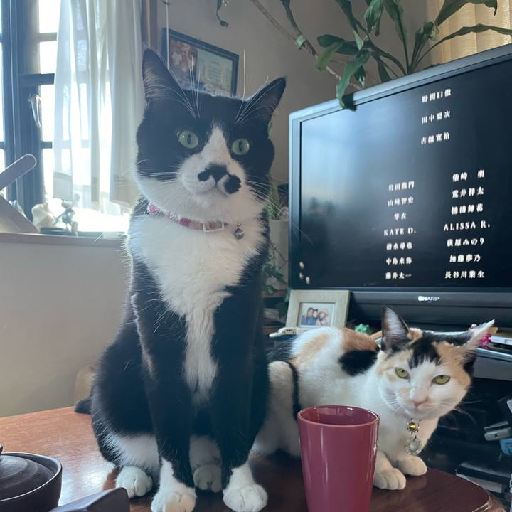 8404fd72 d6d0 49b2 9300 f385723d0dea 1672555067595