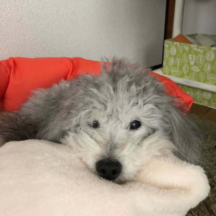 84050be8 3281 4d04 a599 8111a63fefa7 1521601952341