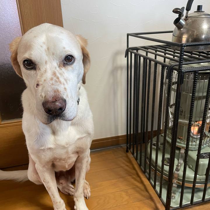 84053839 c779 4710 bc6e 454a4b66cbe7 1763508256016