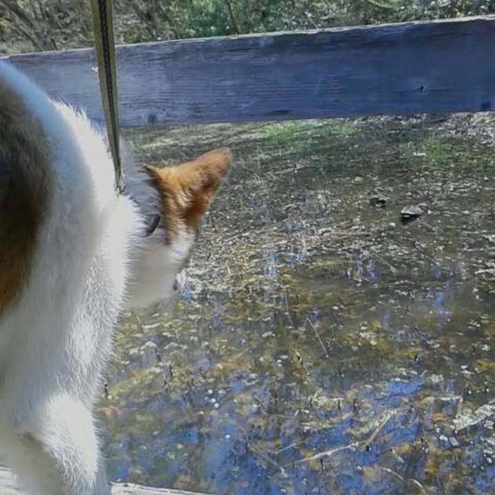 8405761b 3404 42f4 98c8 60875103a50f 1523003178598