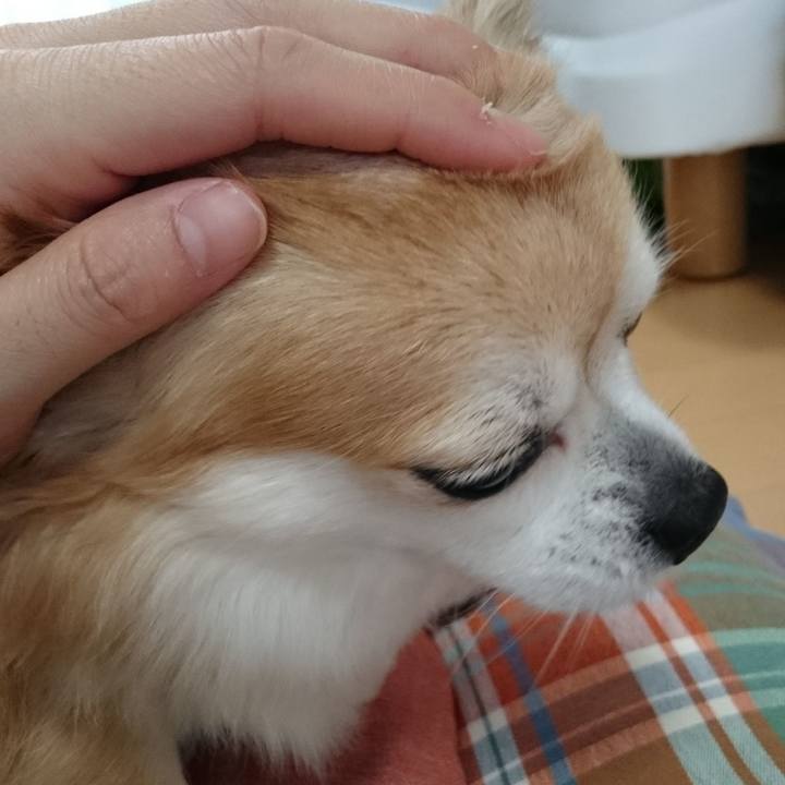 84057aca ef75 4715 b7ab 776957804c97 1558354862907