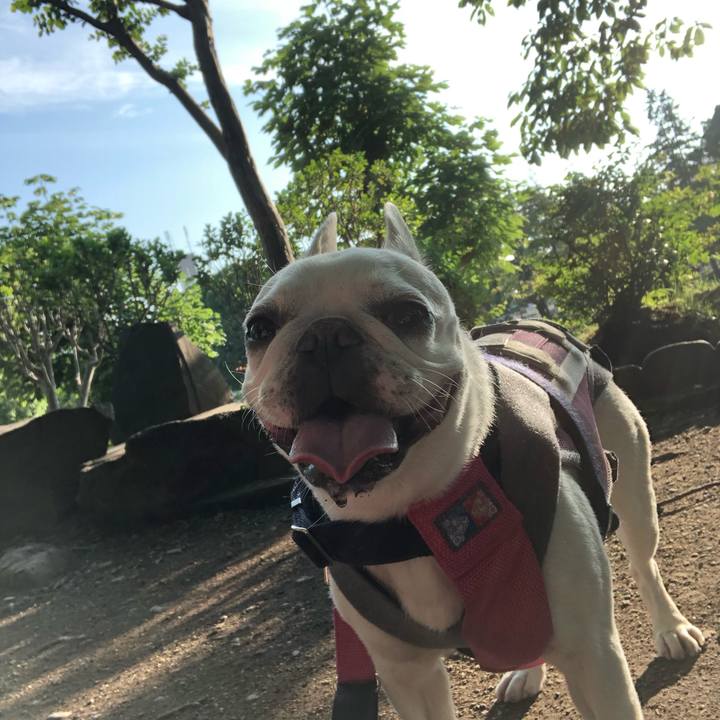 84058733 4a15 4305 9853 79fd2456d4e5 1623999883040