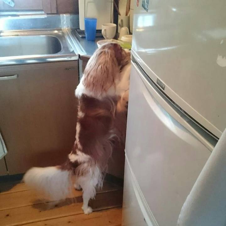 840589eb 6ed3 47a4 9614 d6aa410dc1e2 1547163093404