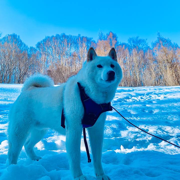 8405a0ce d8ed 4835 a7b9 e0ec65d2efbb 1647574879242