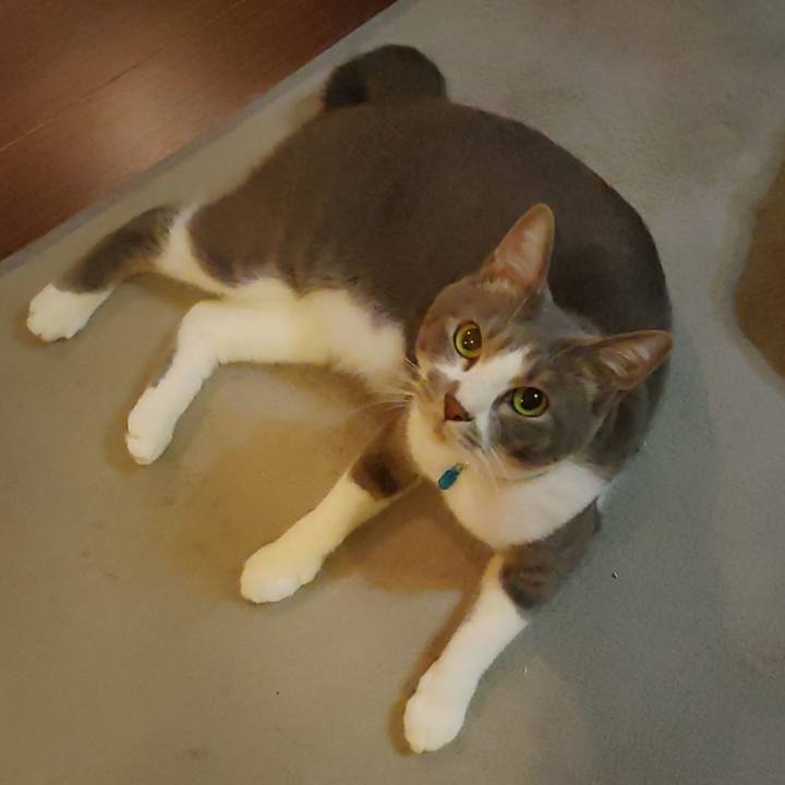 8405cd48 aa2c 4ec8 8c5e 44a594507dc6 1664542499554