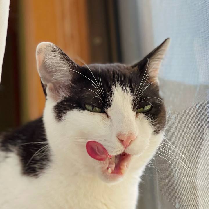 8405dd01 c521 47e8 9200 8bc0354df178 1655779505293