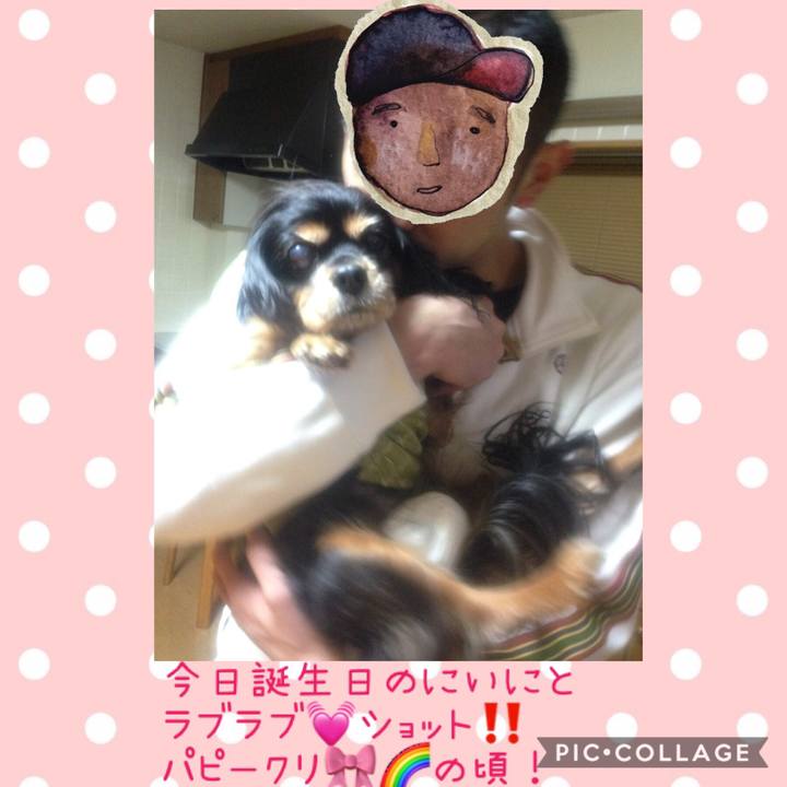 8405fa95 c987 4bc5 8be1 238b6d7540b7 1545449820171