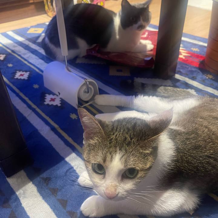 84060223 c5d6 4fcc be7d ce73439281df 1632216161550