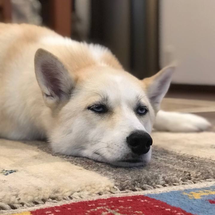 84061eb5 f608 4efd b678 cd52de5c55d9 1531666753123