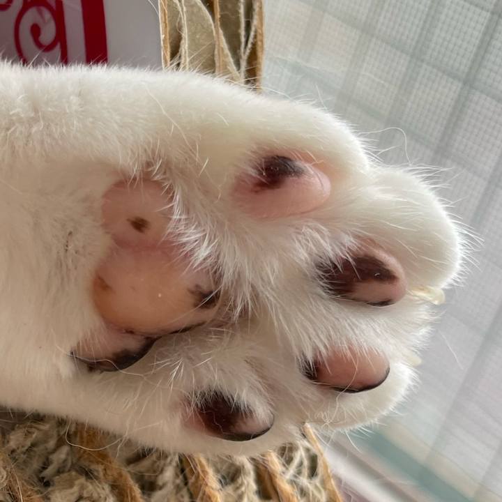 84062c84 2fa7 4f8a b5e2 8a9f209fa651 1687581002742