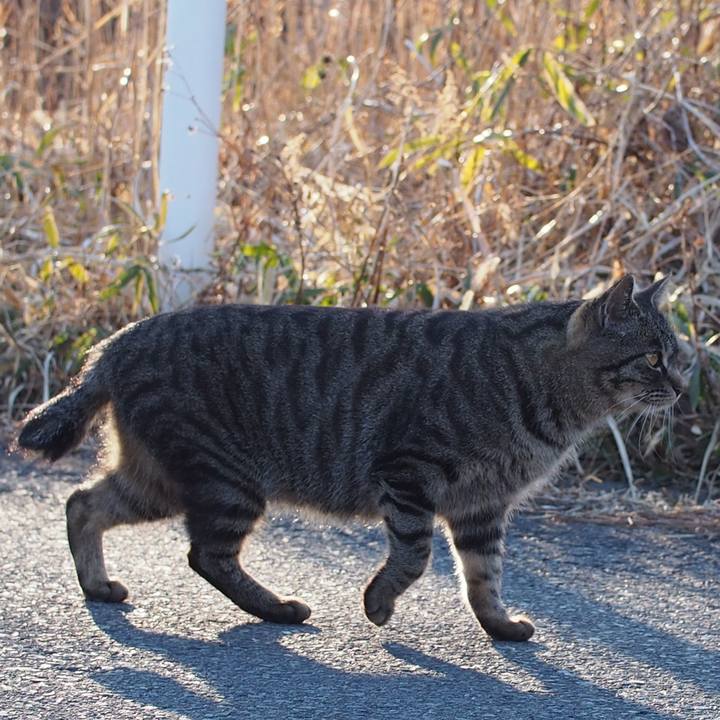 8406326c a22a 419e 9b28 26b20c174dc9 1554130418474