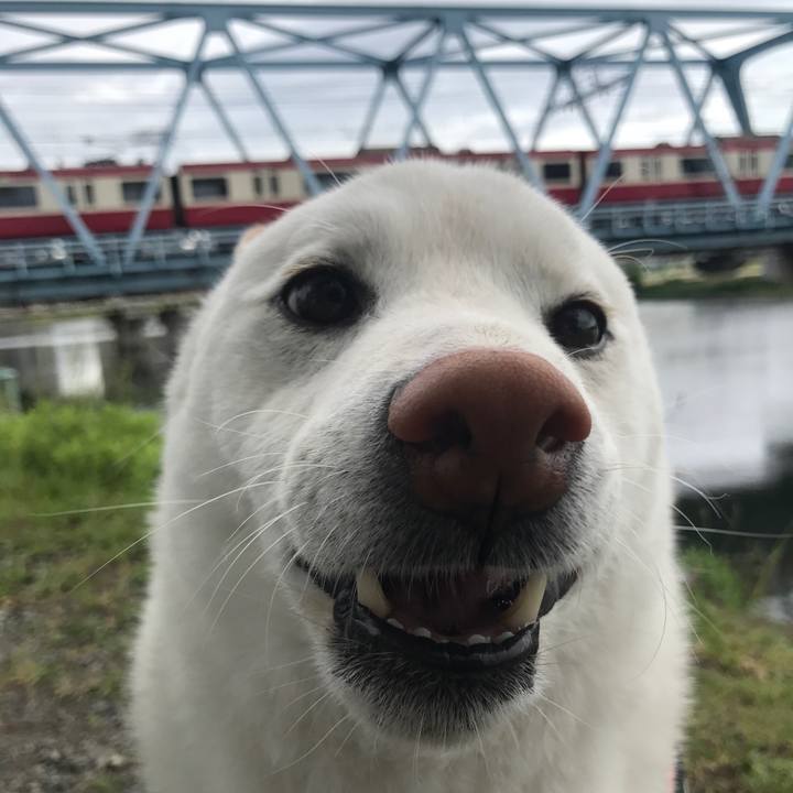 84065228 7cf3 4900 a872 aa1710cabb17 1525650255153