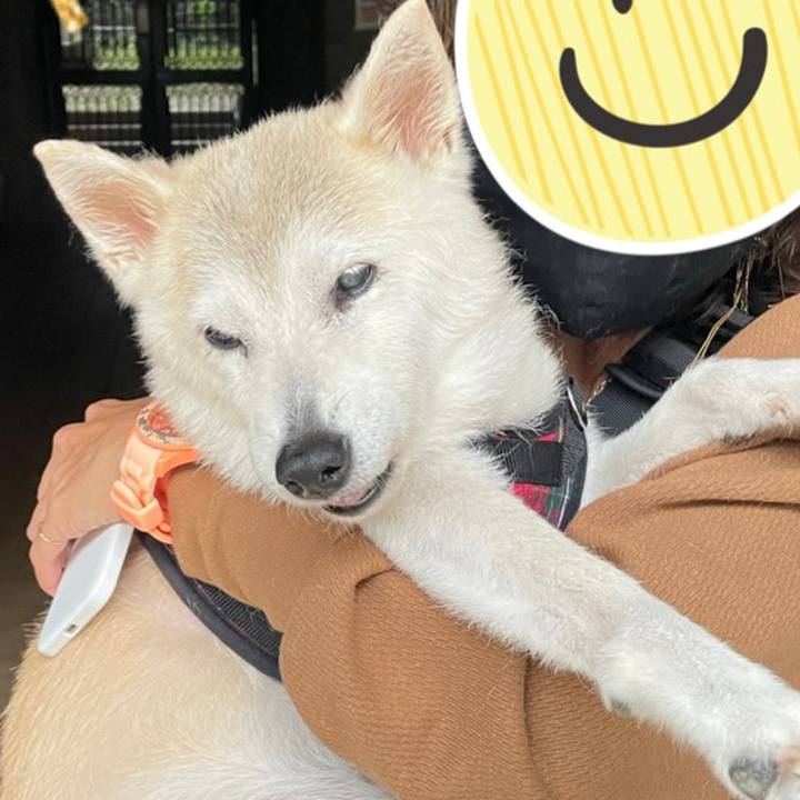 840662d1 6726 407f b8e3 8e5b08ac3653 1664948507548