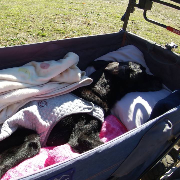 84066a76 310c 4161 a14a 66222861b6cd 1732333793550