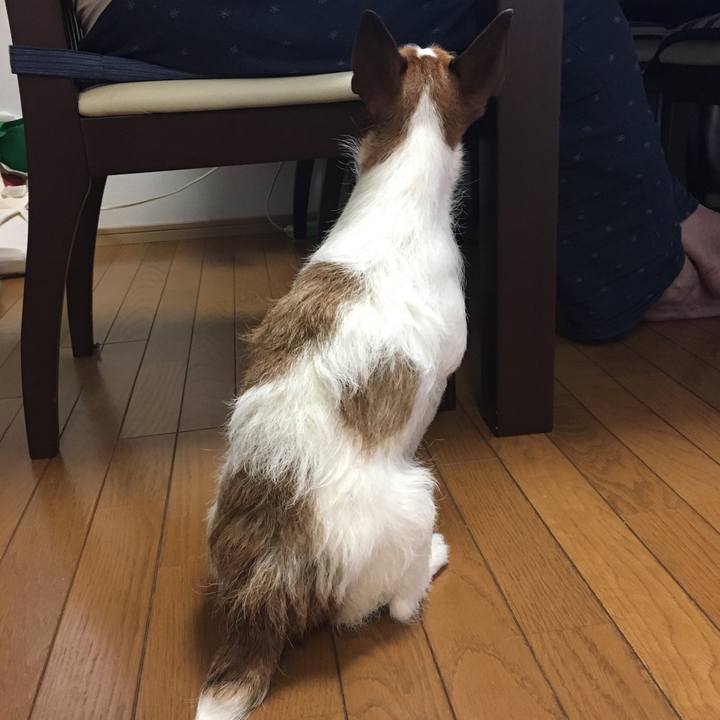 8406805c 5652 47b1 b6b7 44dc3176d125 1558669046104