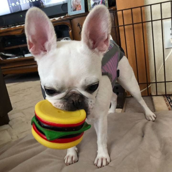 8406912a dc1c 4411 b1b7 6ad42c925c8c 1569201835042