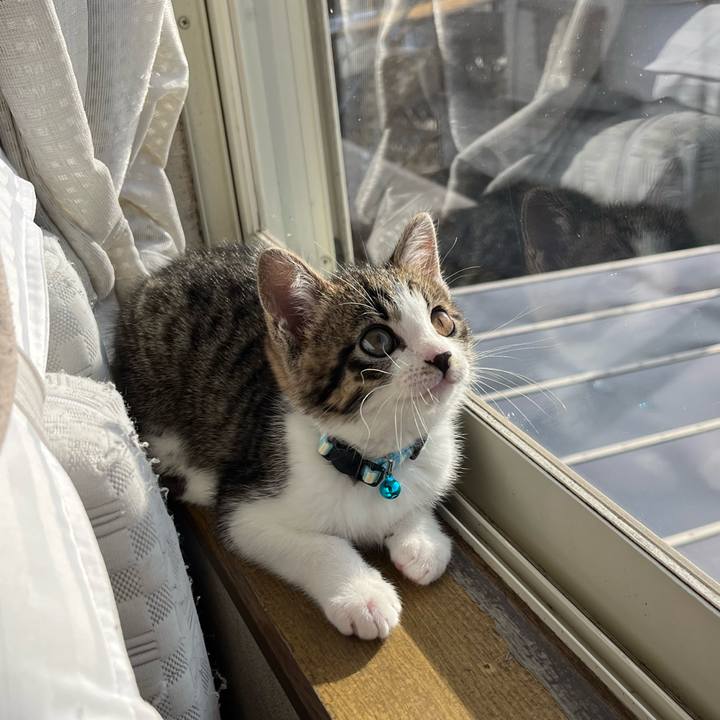 8406cb1c 495c 4520 8080 0fd60f692e28 1767226450441