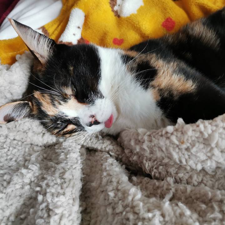 8406cff8 1dc5 4dc5 a5ce 2d84d8817a01 1640495357840