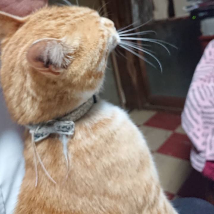 8406d6ee 45c2 4eb6 805f 85f66cca725d 1589878824167